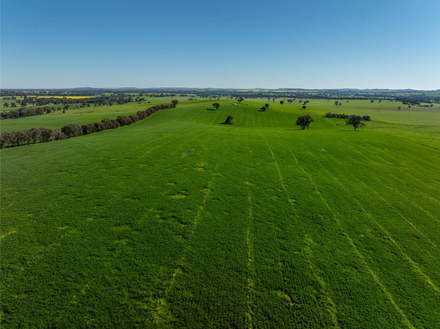 Additional image 4 of 272 Bulloc Hill Road, Mangoplah NSW 2652