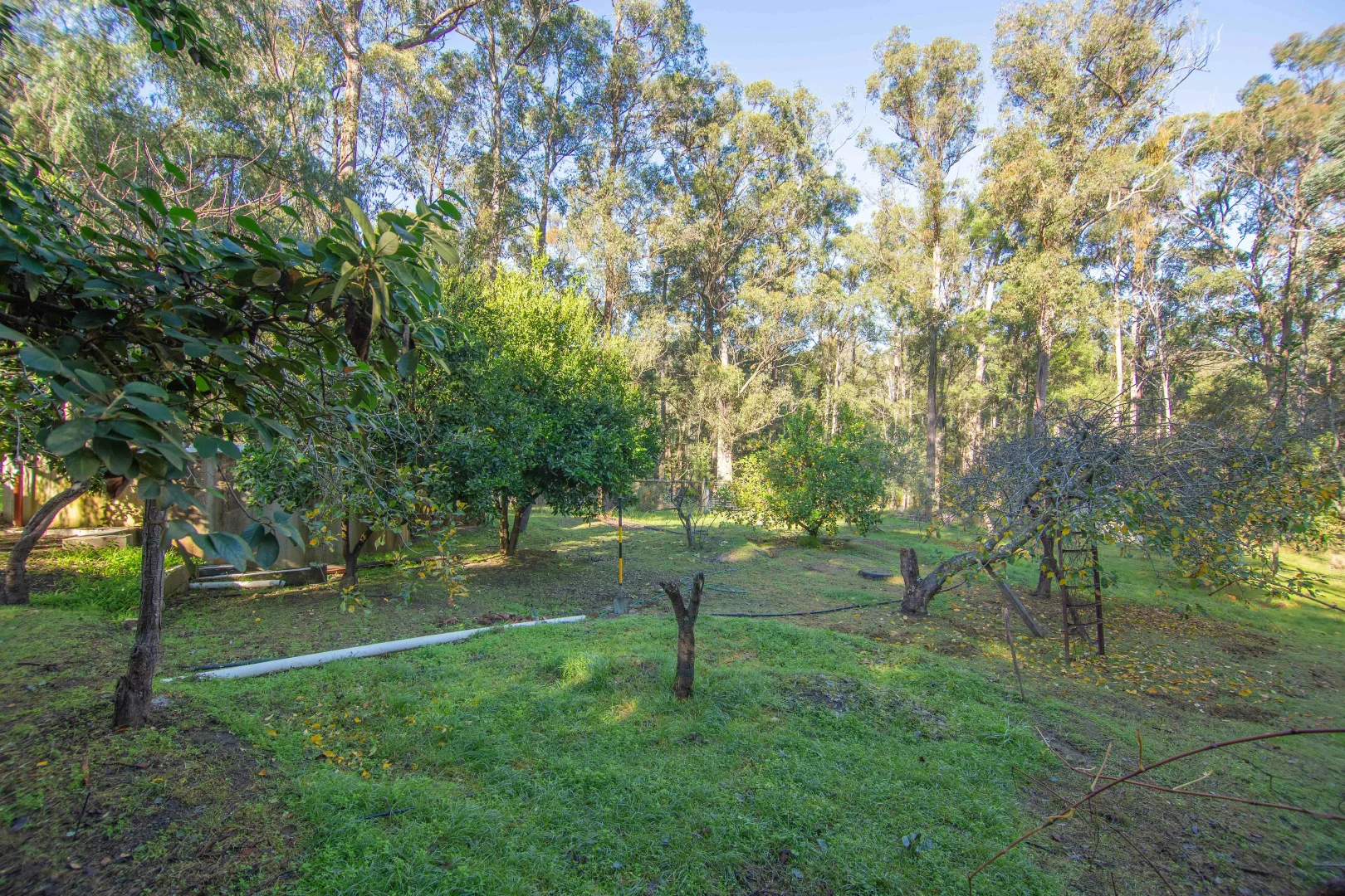 Additional image 21 of 82 Gregory Rd, Nicholson VIC 3882