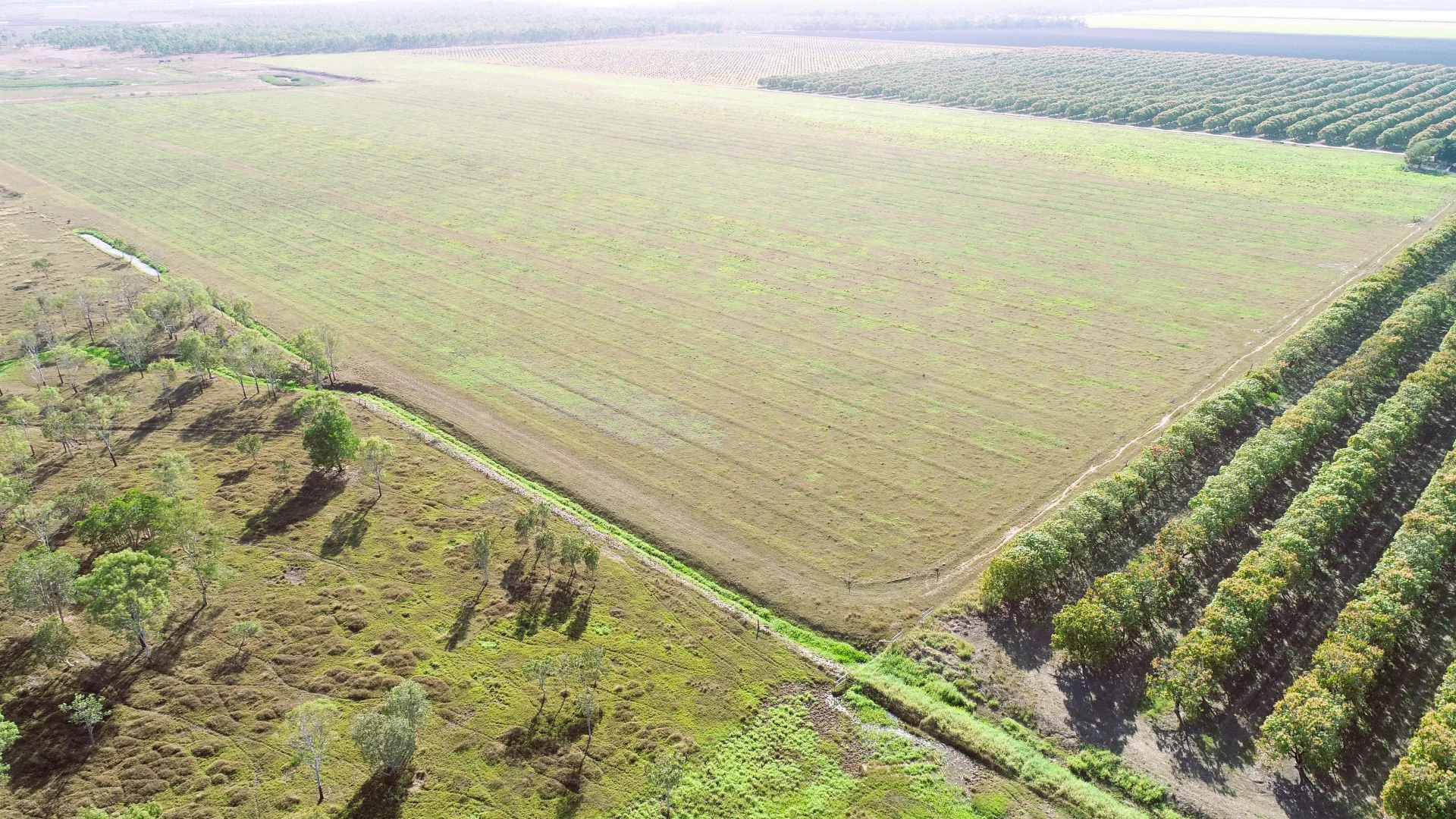 Additional image 7 of 3 Comiskey Road, Horseshoe Lagoon QLD 4809