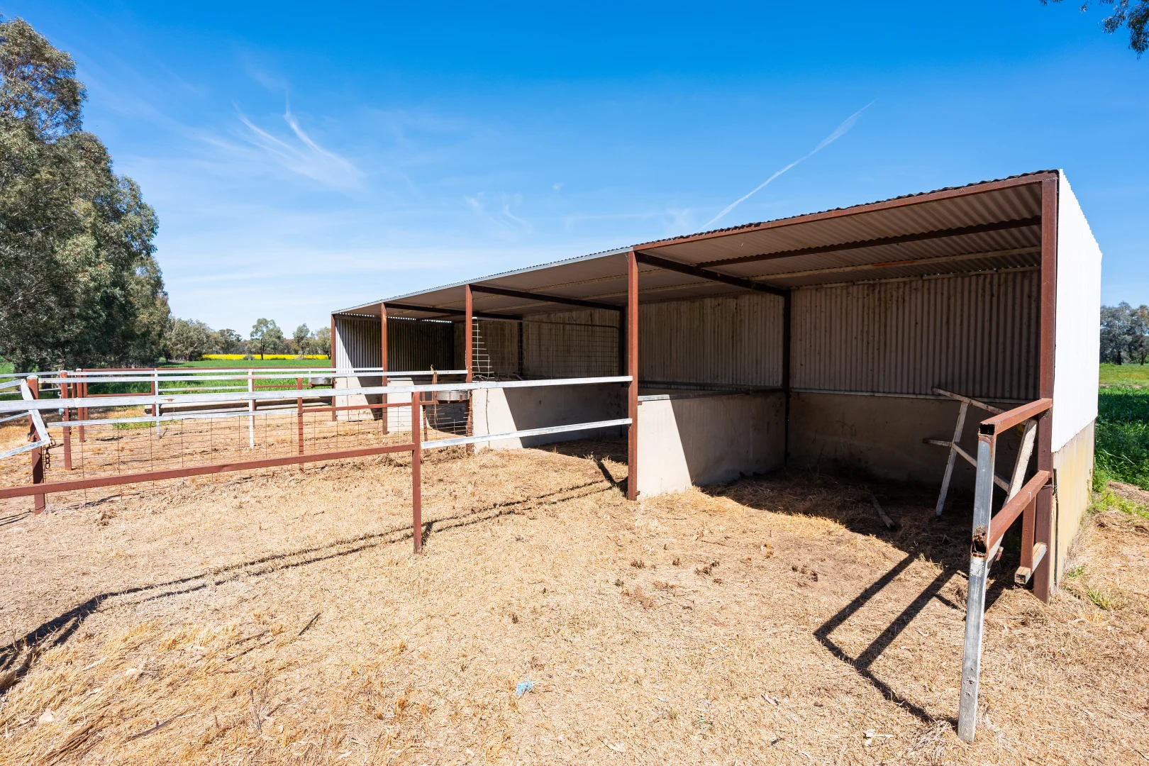 Additional image 10 of 106 Cornishtown Road, Rutherglen VIC 3685
