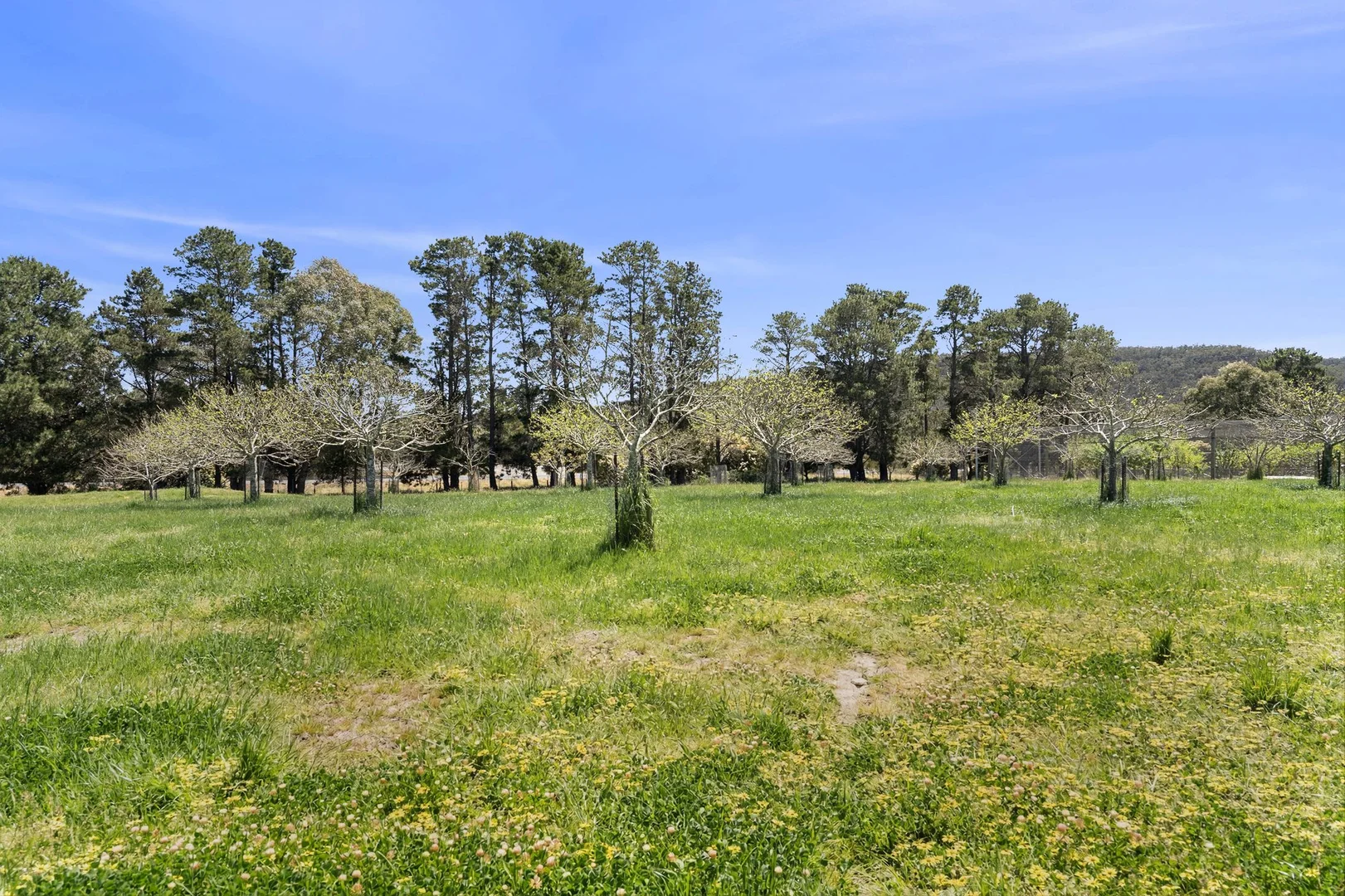 Additional image 20 of 2 Murrimba Road, Paddys River NSW 2577