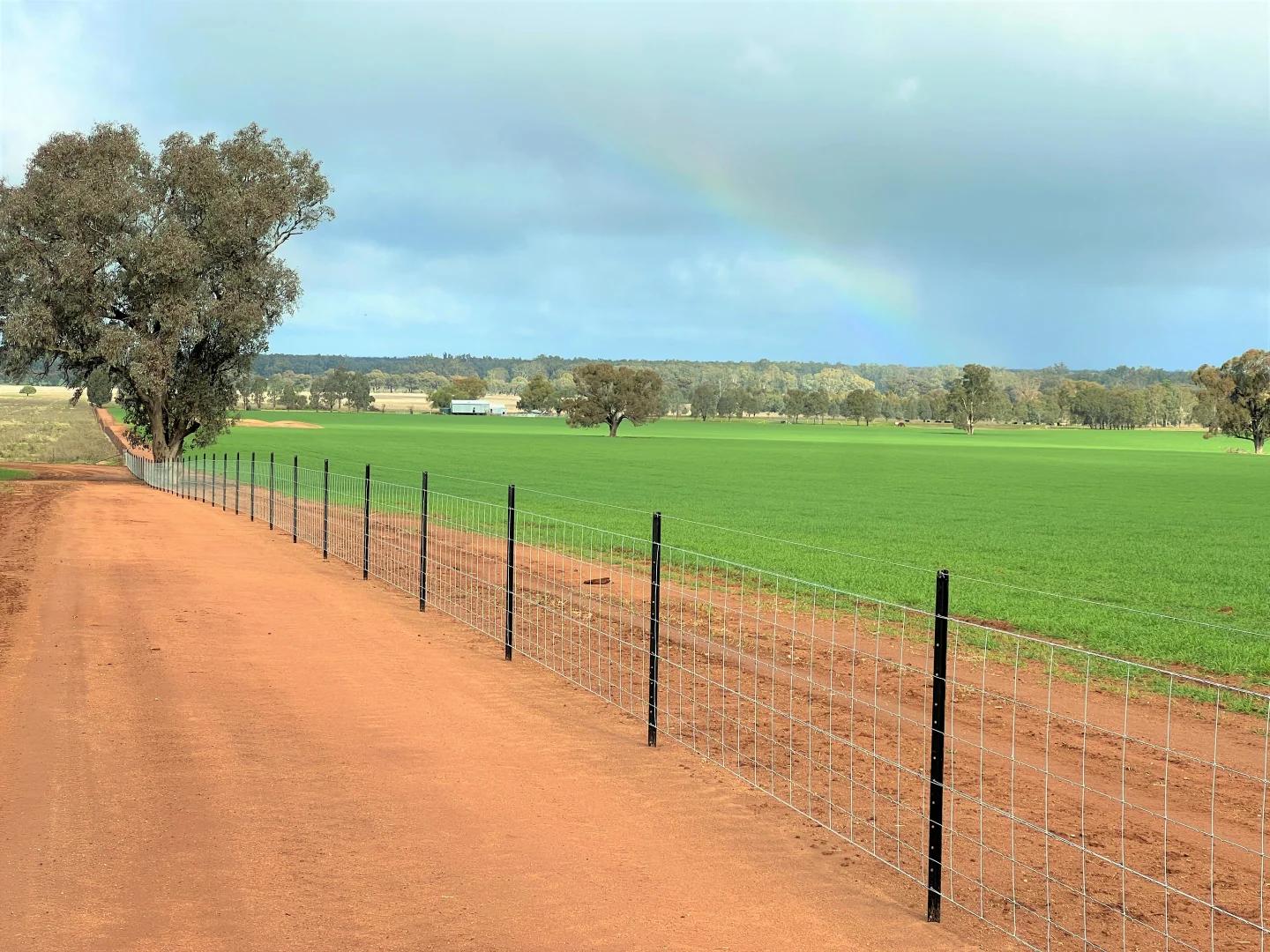 Additional image 4 of 2648 Old Narrandera Road, Currawarna NSW 2650