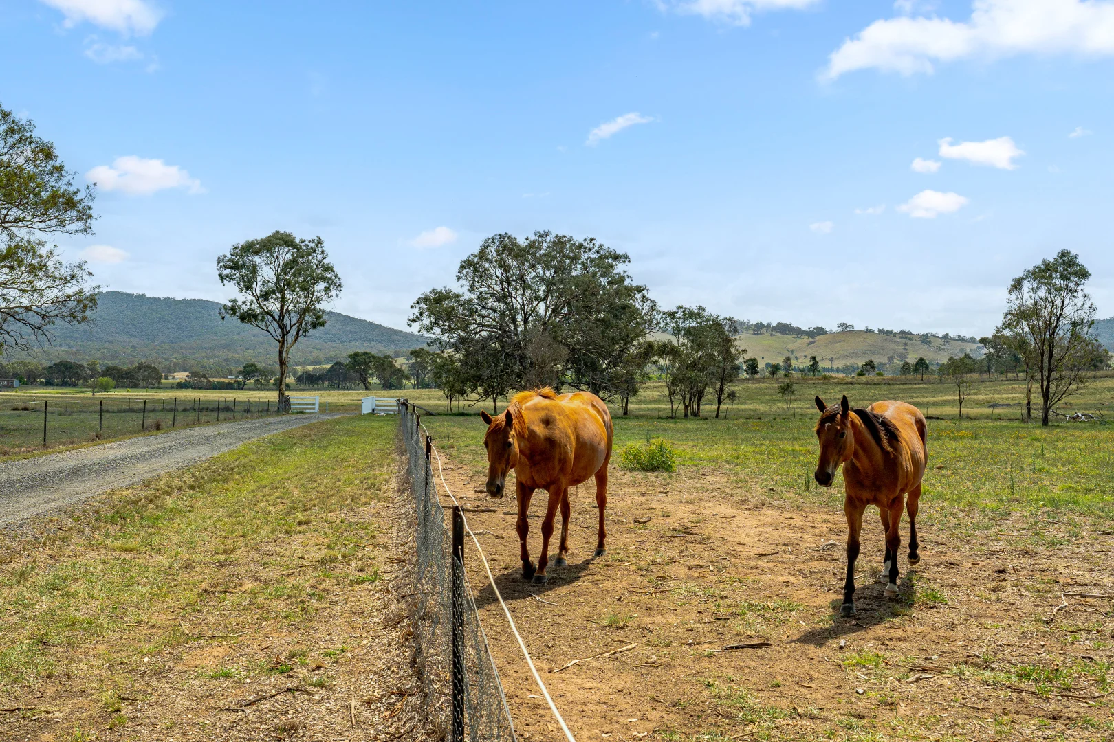 Additional image 94 of 14 Avonley Road, Majura ACT 2609