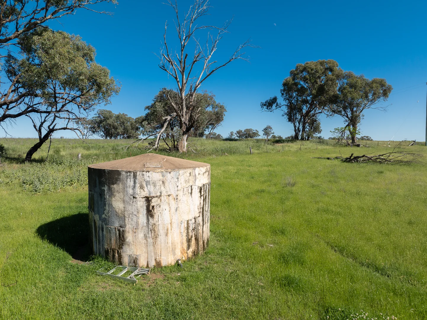 Additional image 27 of 338 Baldry Road, Cumnock via, Molong NSW 2866