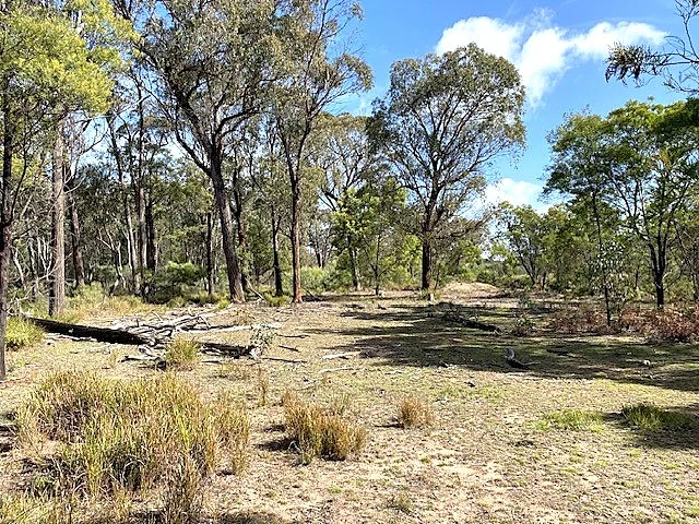 Additional image 2 of 150 Reedy Creek Road, Rylstone NSW 2849