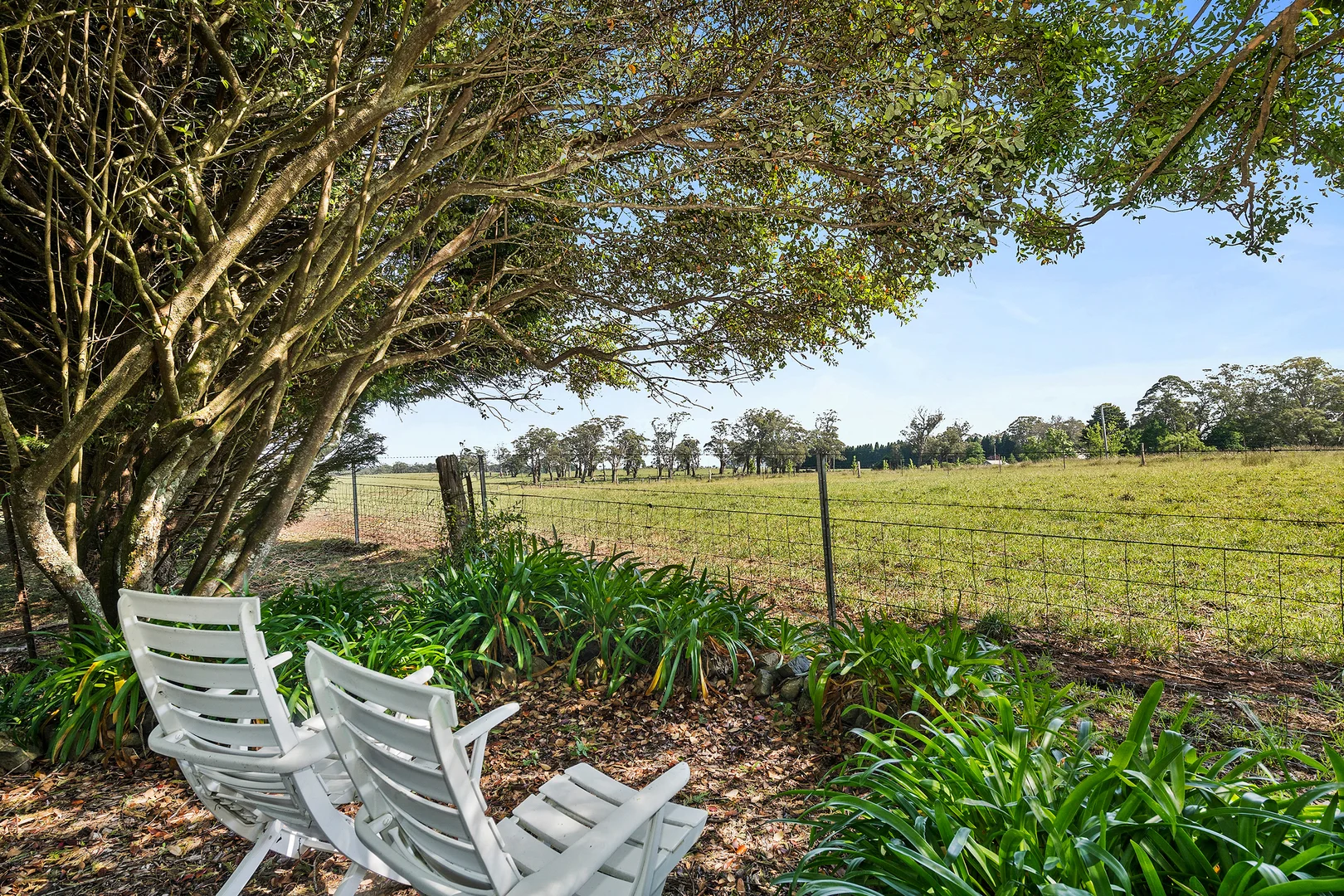 Additional image 11 of 545 Ellsmore Road, Exeter NSW 2579