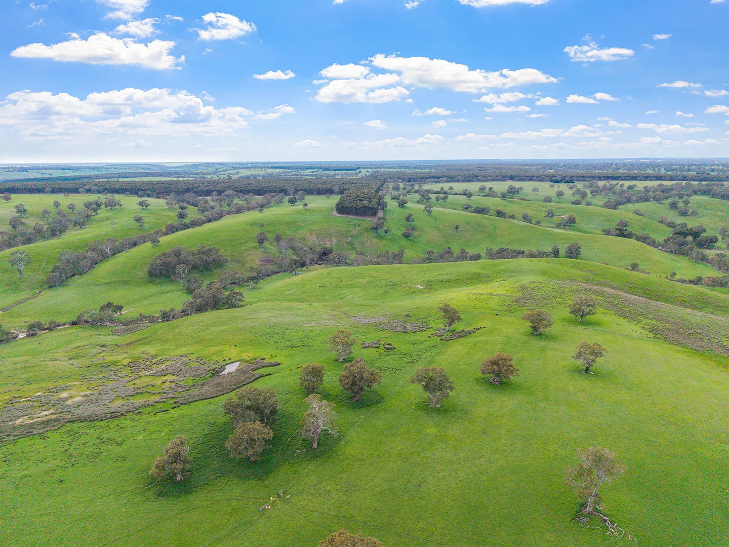 Additional image 20 of 3786 Casterton Edenhope Road, Chetwynd VIC 3312