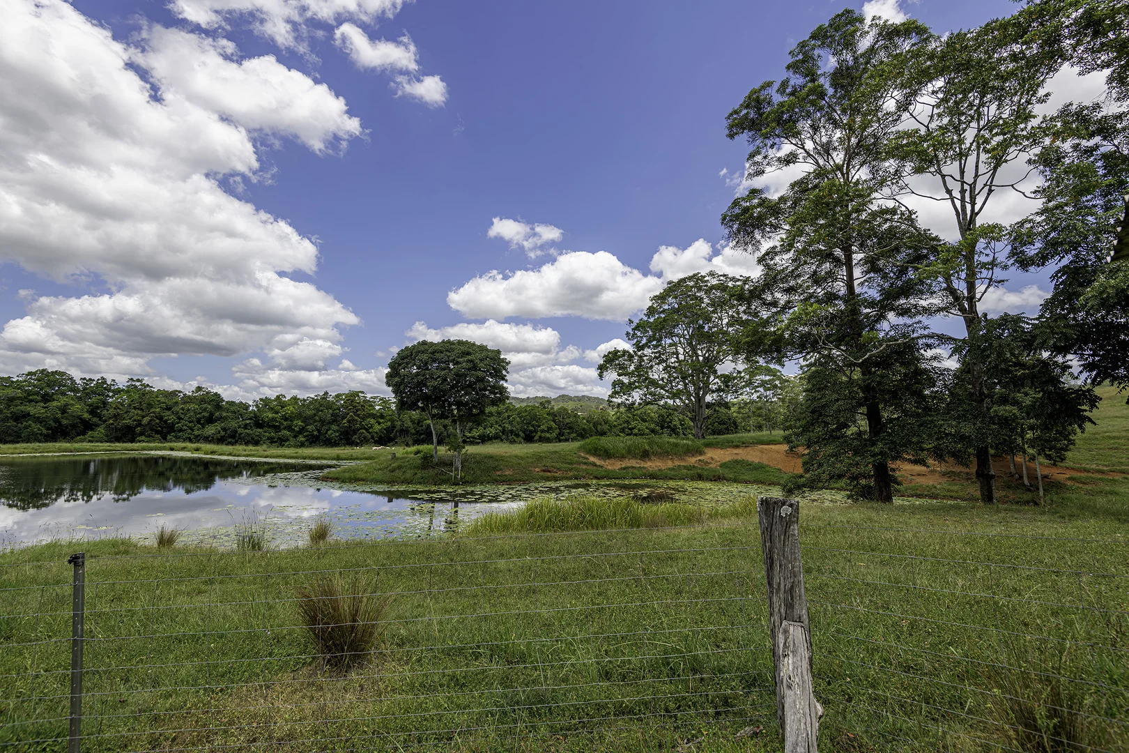 Additional image 11 of 492 River Road, Peachester QLD 4519