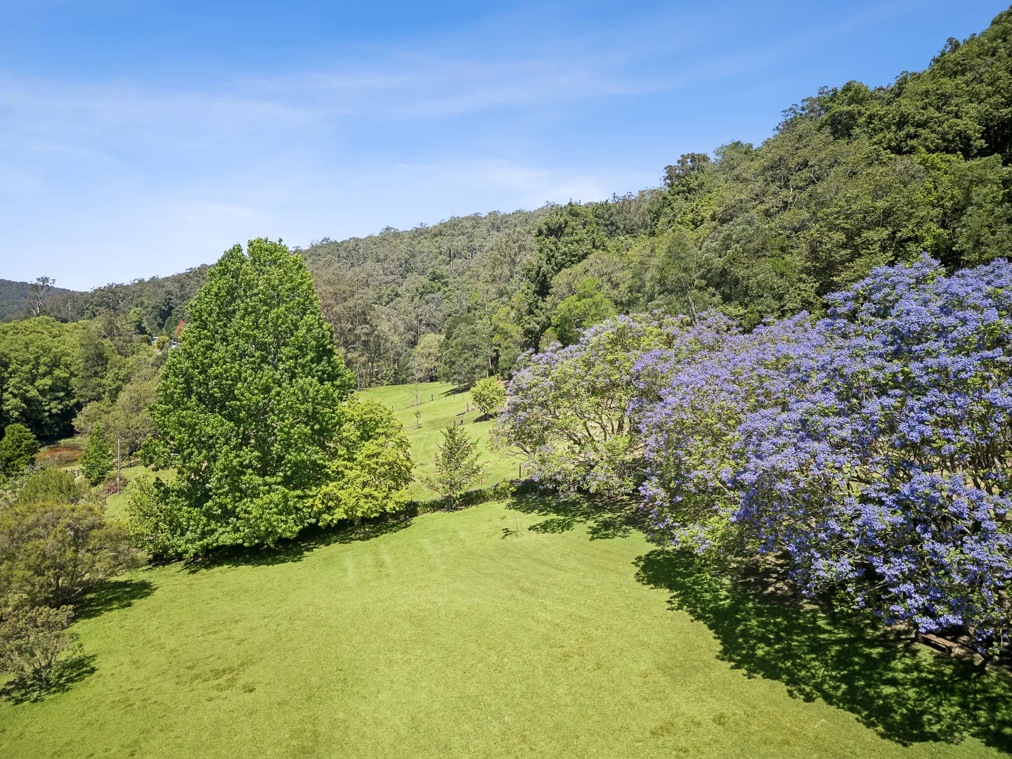 Additional image 6 of 40 Bumbles Creek Road, Ourimbah NSW 2258