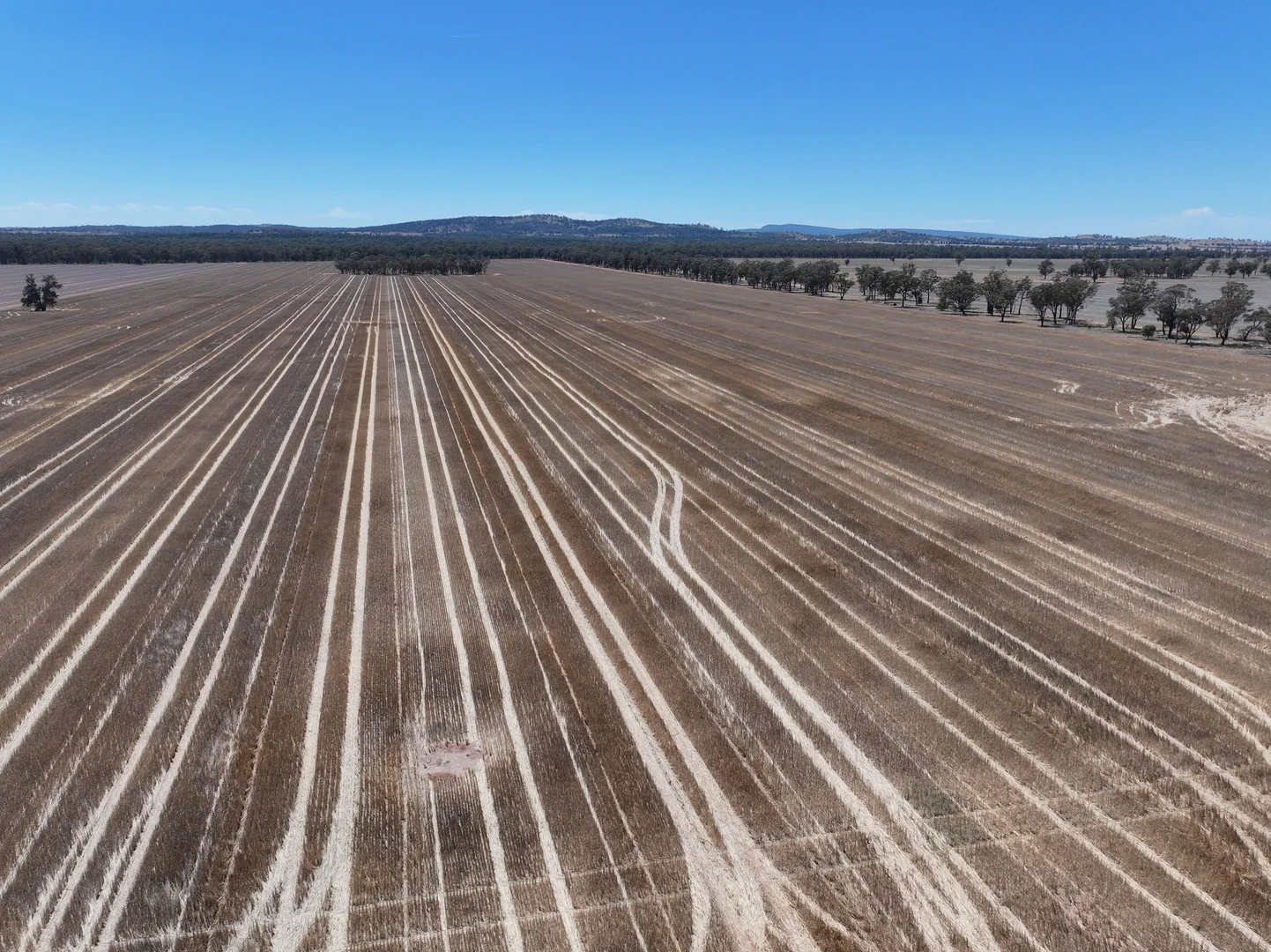 Additional image 4 of "Glen Avon" 99 Davies Lane, Caragabal NSW 2810