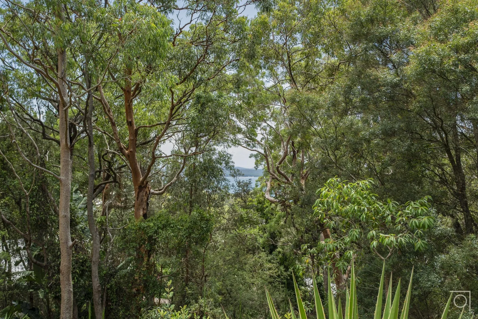 Additional image 28 of 22 Tingara Road, Nelson Bay NSW 2315