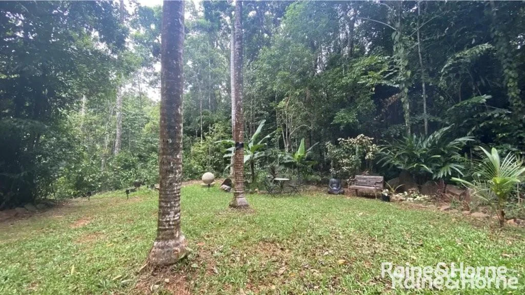Additional image 35 of 472 Buchanan Creek Road, Cow Bay, Daintree QLD 4873