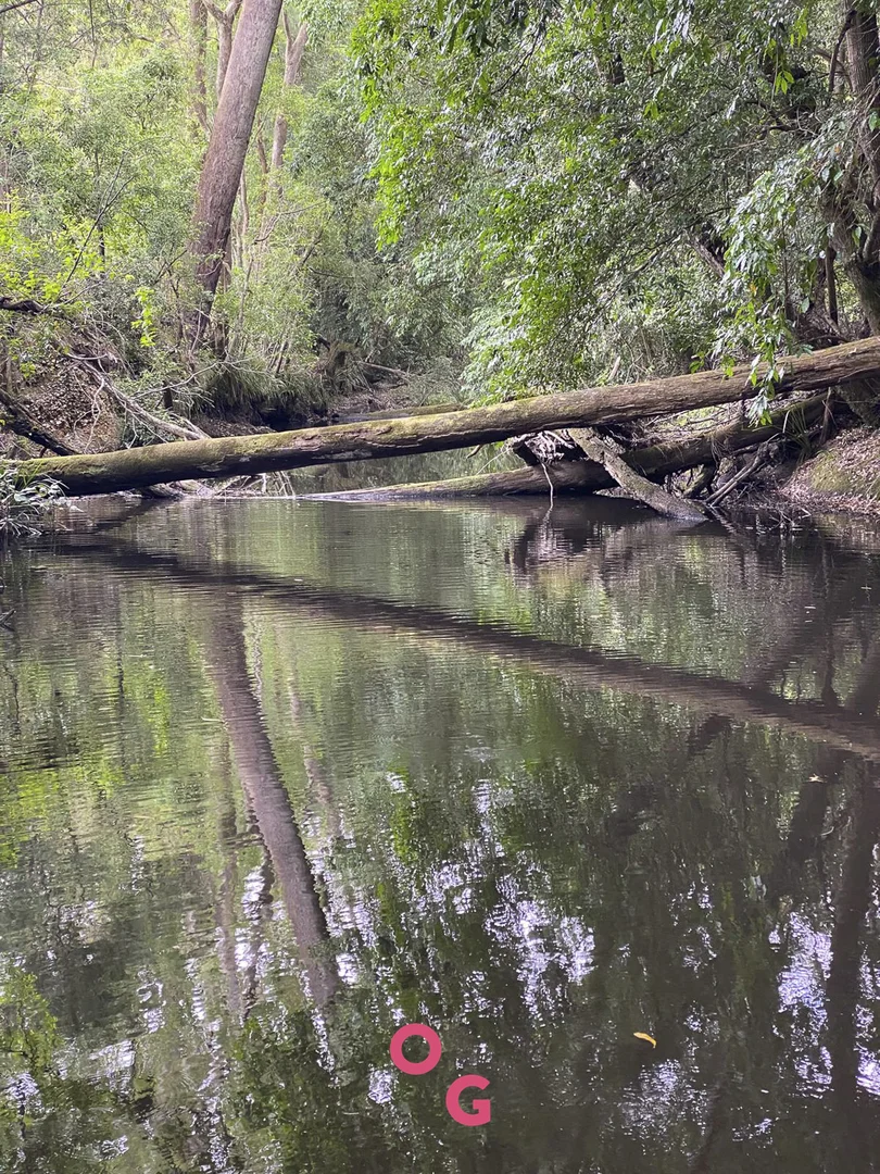 Additional image 27 of 136 Limeburners Creek Road, Limeburners Creek NSW 2324