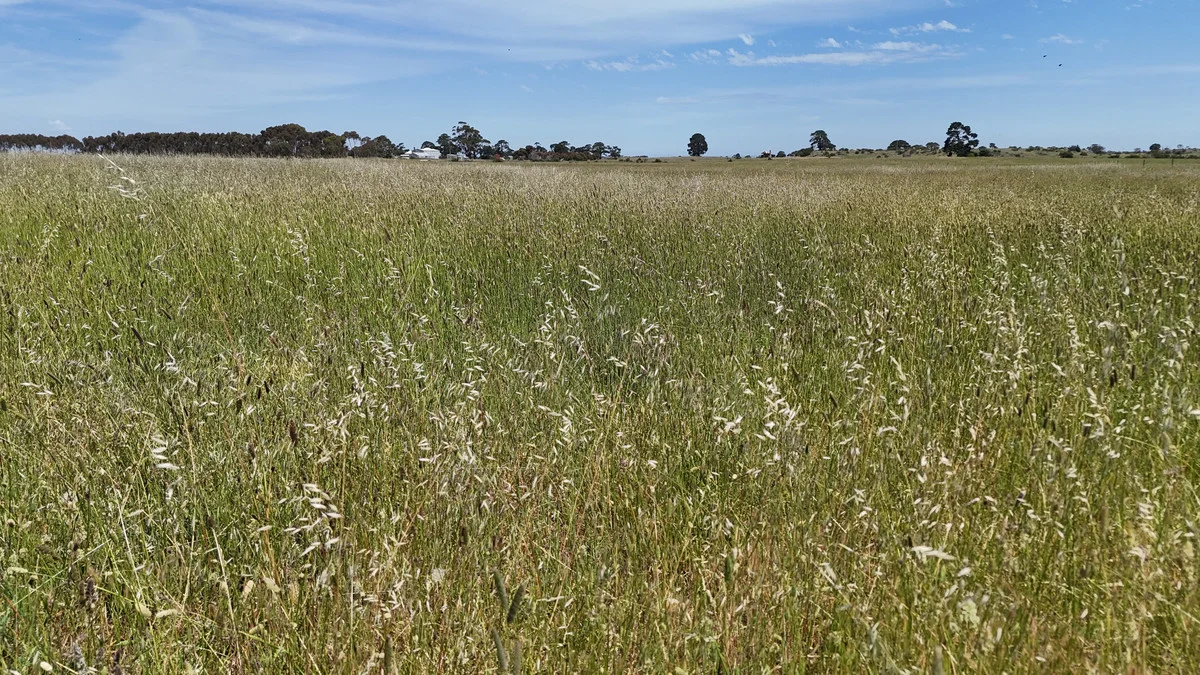 Additional image 11 of 205 South Cundare Road, Beeac VIC 3251