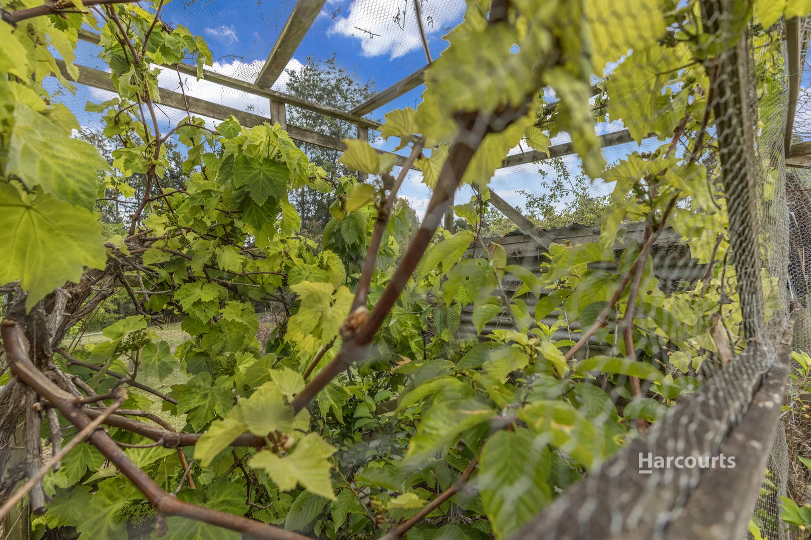 Additional image 32 of 22 Peppermint Drive, Penguin TAS 7316