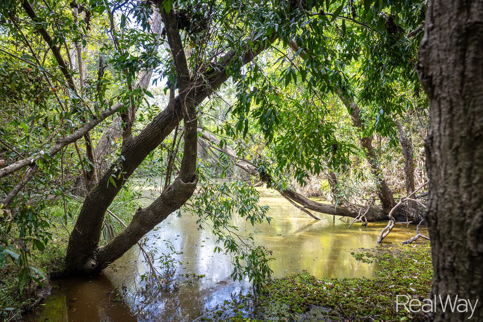 Additional image 14 of 2 Jacksons Road, South Isis QLD 4660