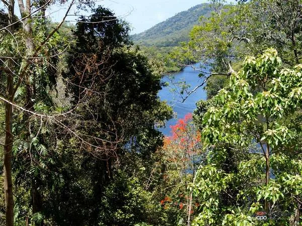 3228 Rossville Bloomfield Road, Bloomfield QLD 4895