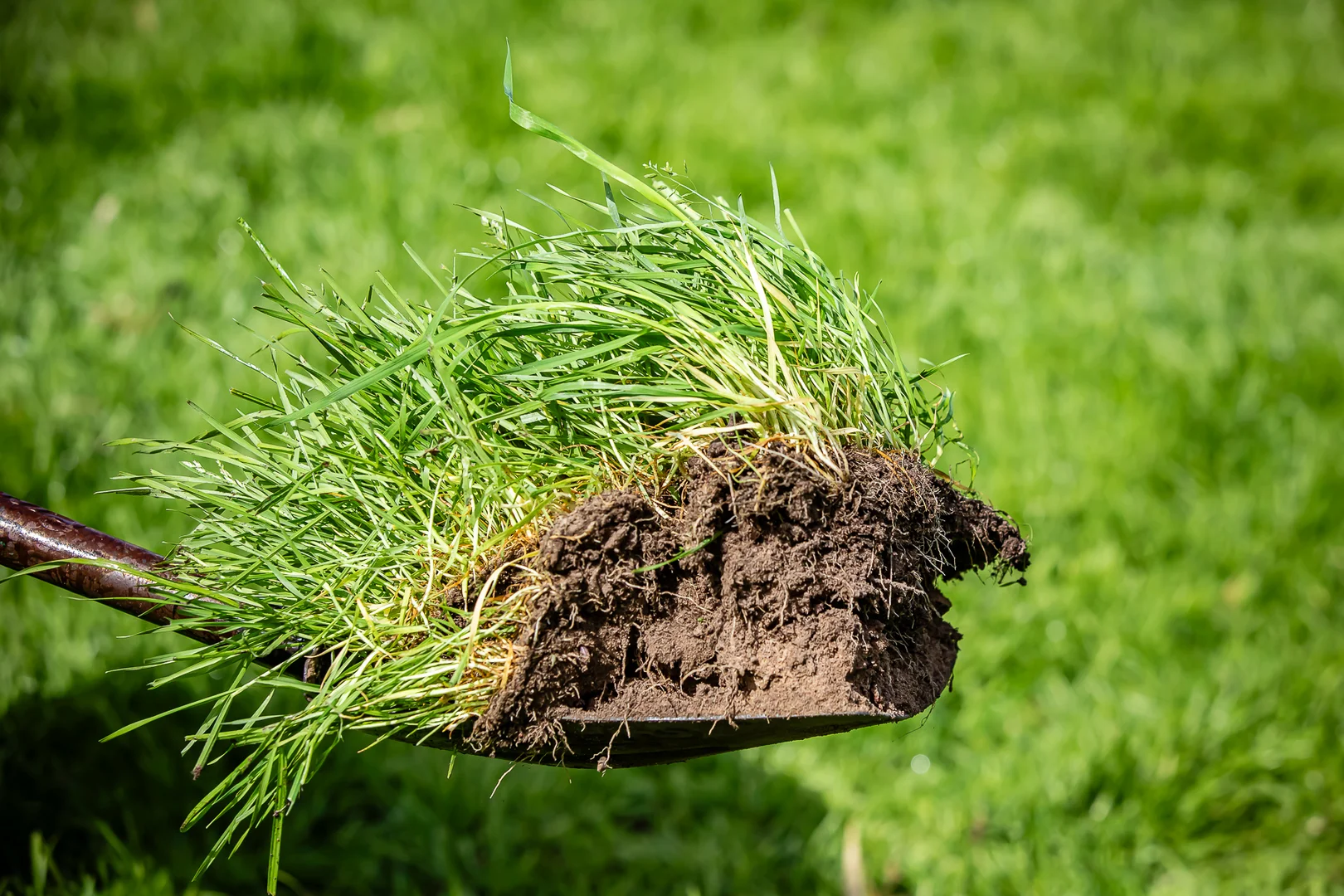 Additional image 7 of 58 Camerons and Lampards Road, Charam VIC 3318