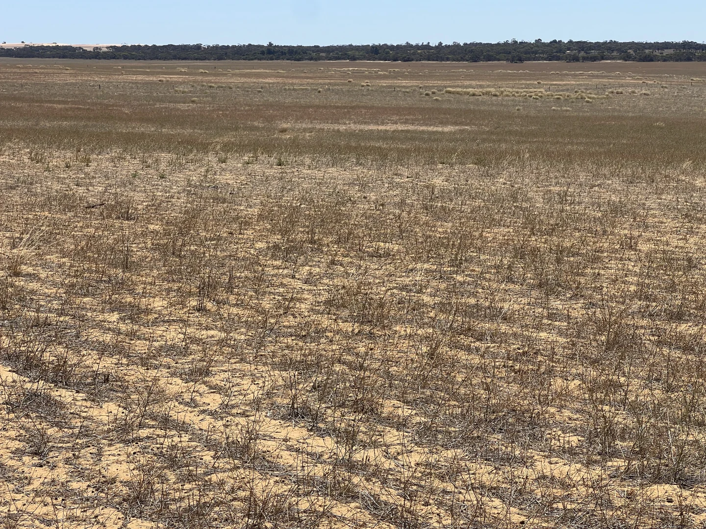 Additional image 20 of Lot 1 Stones Track & Lot 17 Kulkami Road, Karoonda SA 5307