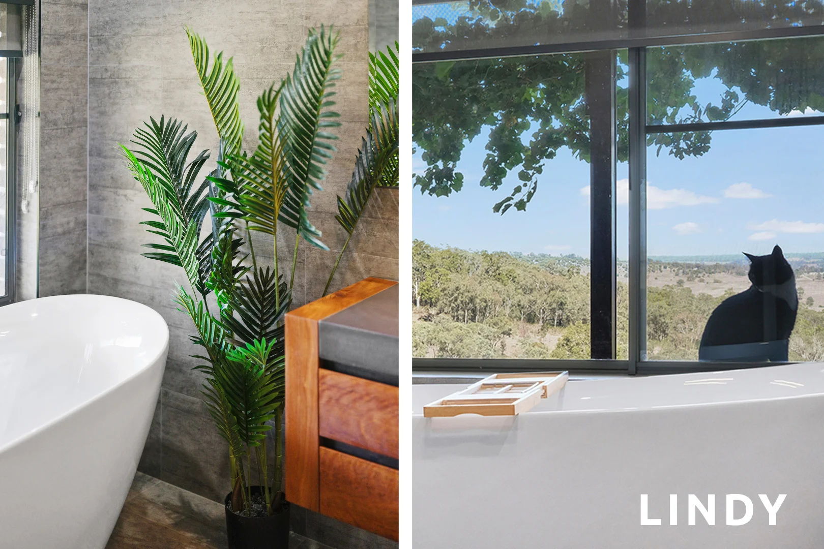 Additional image 11 of 89 Tangory Rise, Glendon Brook NSW 2330