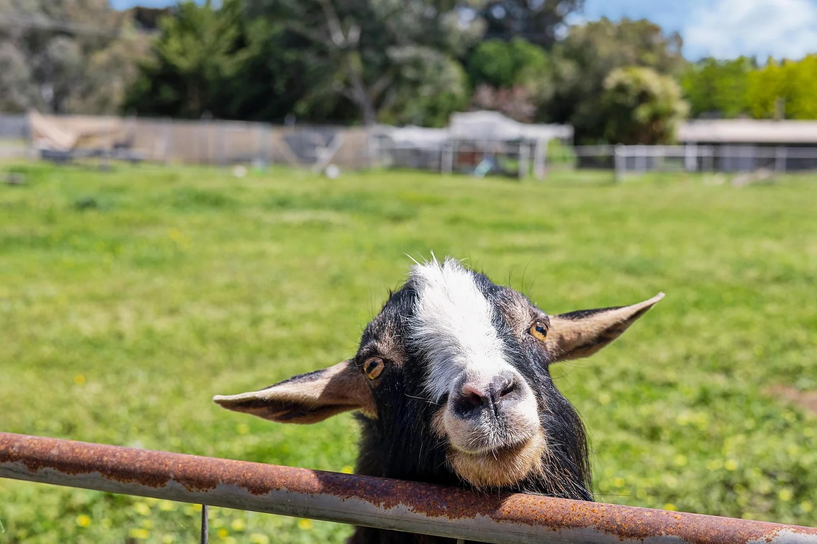 Additional image 20 of 2 Vallance Drive, Murrumbateman NSW 2582