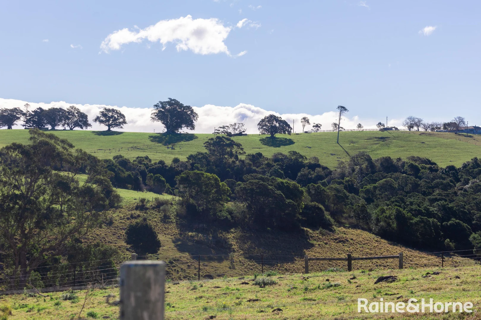 Additional image 5 of Lot 31, 7 Gordon Street, Milton NSW 2538