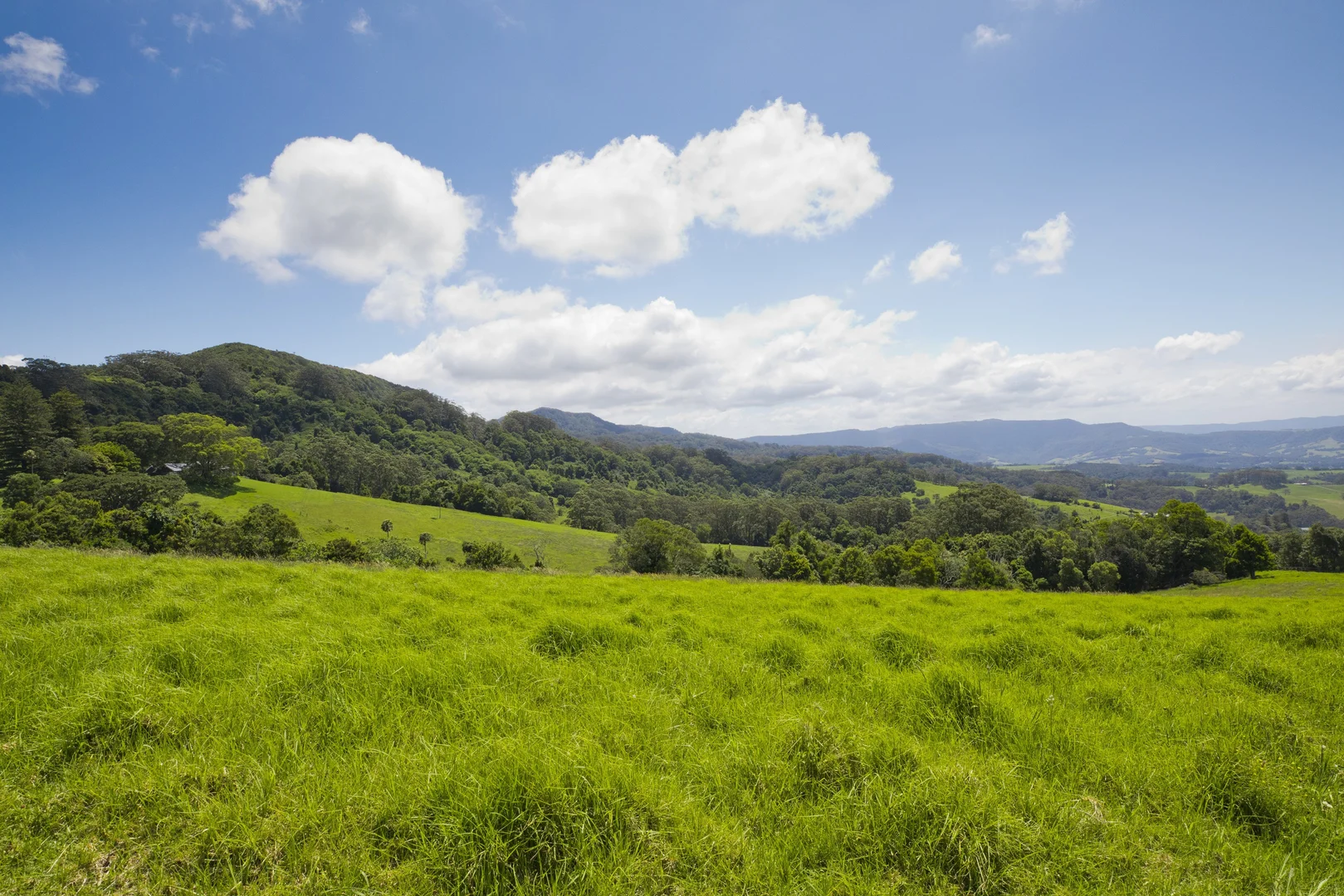 Additional image 17 of 'DJAWULA' Lot 2022 Wilsons Road, Saddleback Mountain NSW 2533