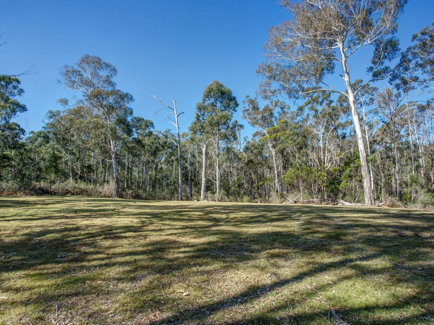 Additional image 23 of 170 Wattle Flats Road, Canyonleigh NSW 2577