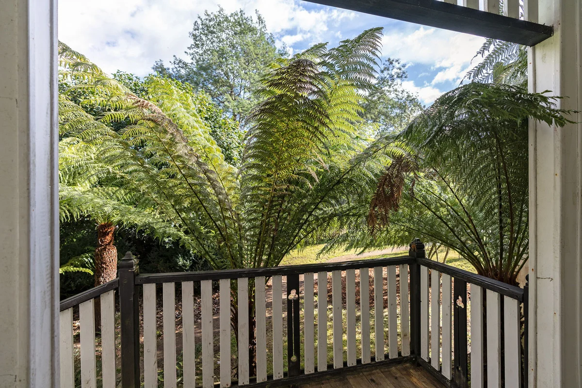 Additional image 32 of 32267 Tasman Highway, Derby TAS 7264