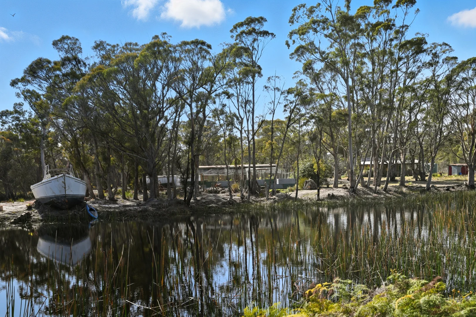 Additional image 21 of 886 North Ansons Road, Gladstone TAS 7264