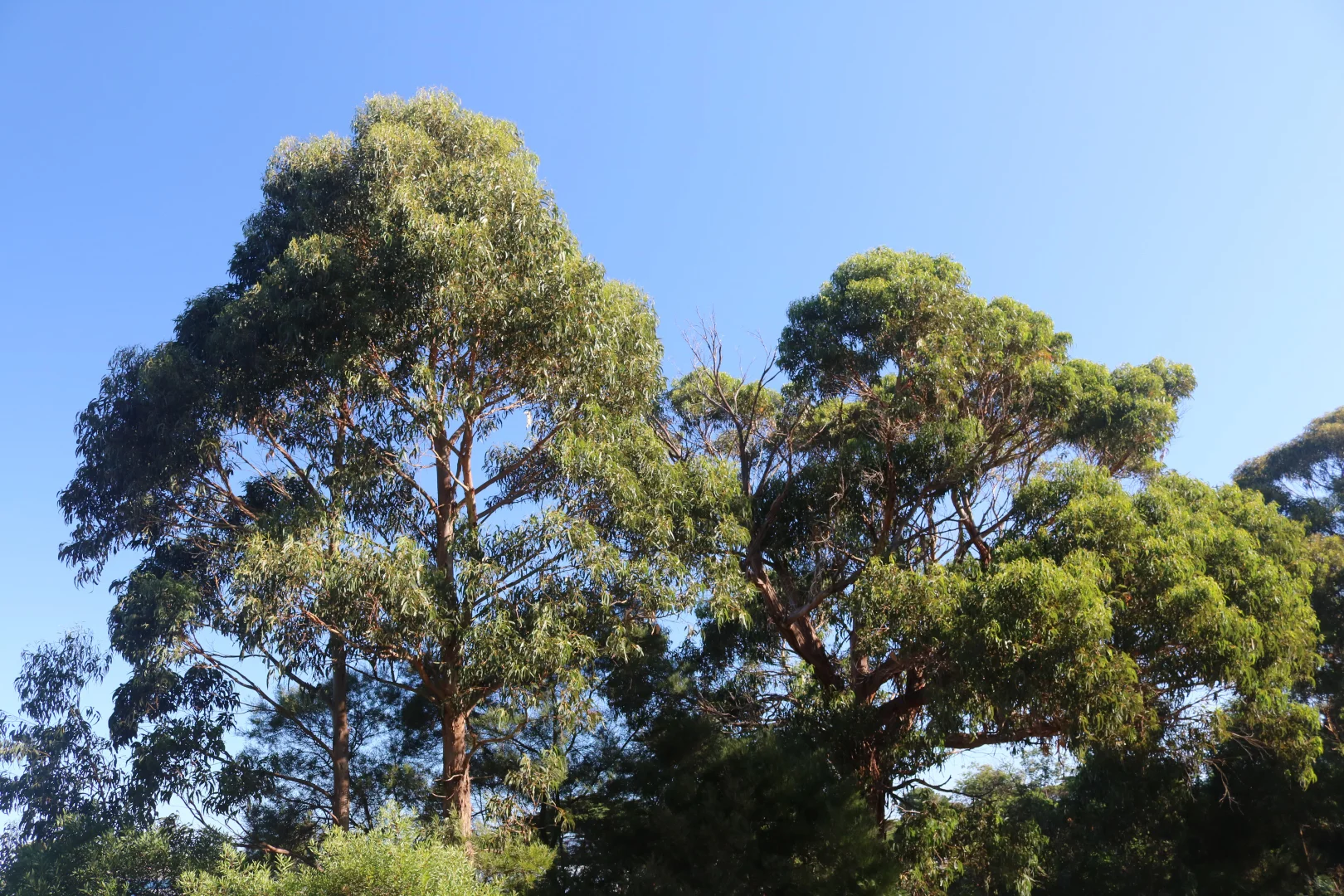 Additional image 4 of 4 Barr Street, Lady Barron TAS 7255