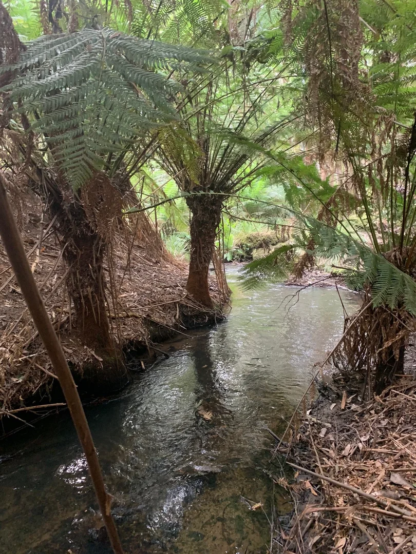 Additional image 4 of Lot 2 Faheys Lane, Irishtown TAS 7330