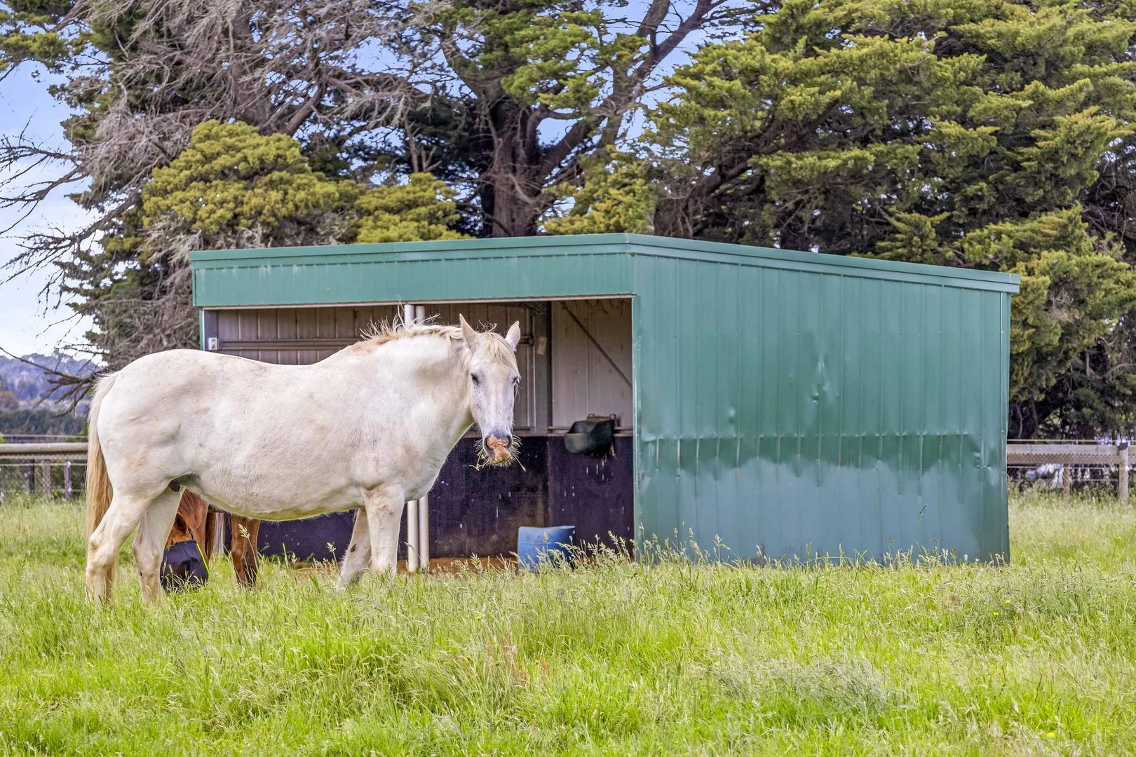 Additional image 14 of Lot 4 Ballarat-Maryborough Road, Miners Rest VIC 3352