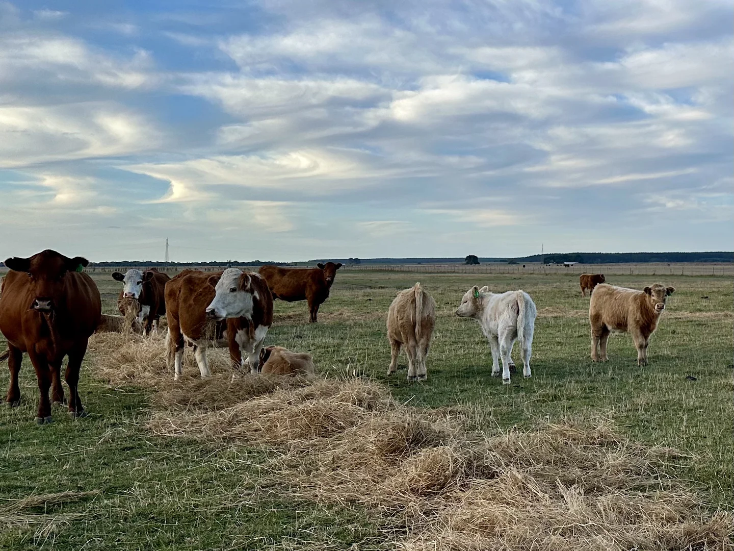 Additional image 11 of 1, Lot 417 & 429 Sebastopol Springs Rd, Sebastopol SA 5280