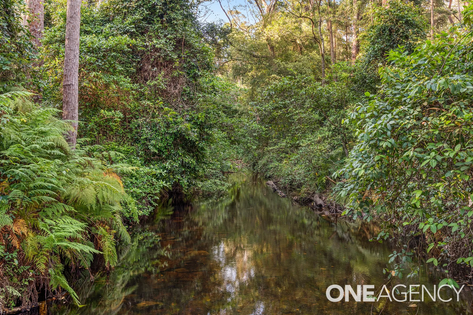 Additional image 13 of 317B Little Forest Road, Little Forest NSW 2538