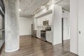 Additional image 3 of 717 S Clark St Unit 1-1, Chicago, IL, 60605