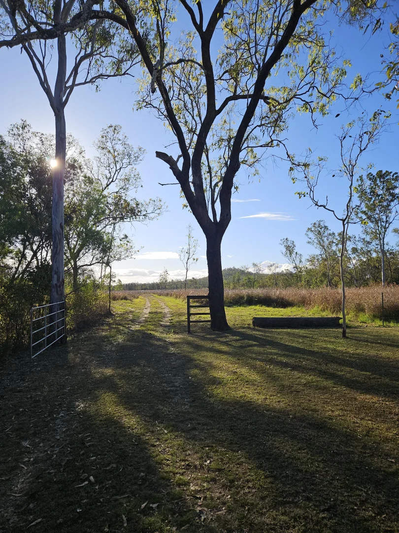 Additional image 9 of 158 Hodzic Rd, Biboohra QLD 4880