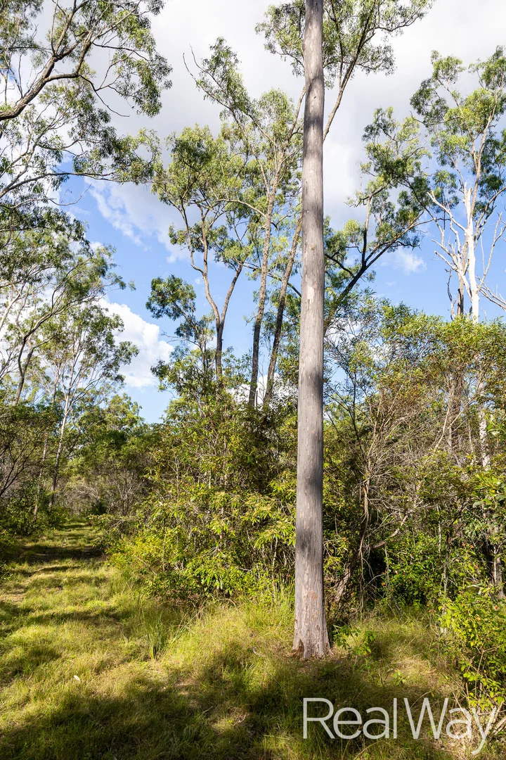 Additional image 20 of 2 Jacksons Road, South Isis QLD 4660