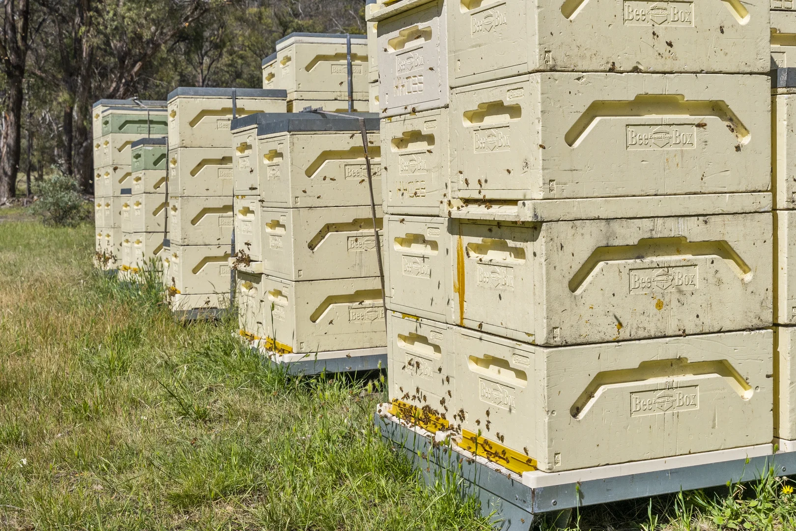 Additional image 37 of Shrub End Road, Pawleena TAS 7172