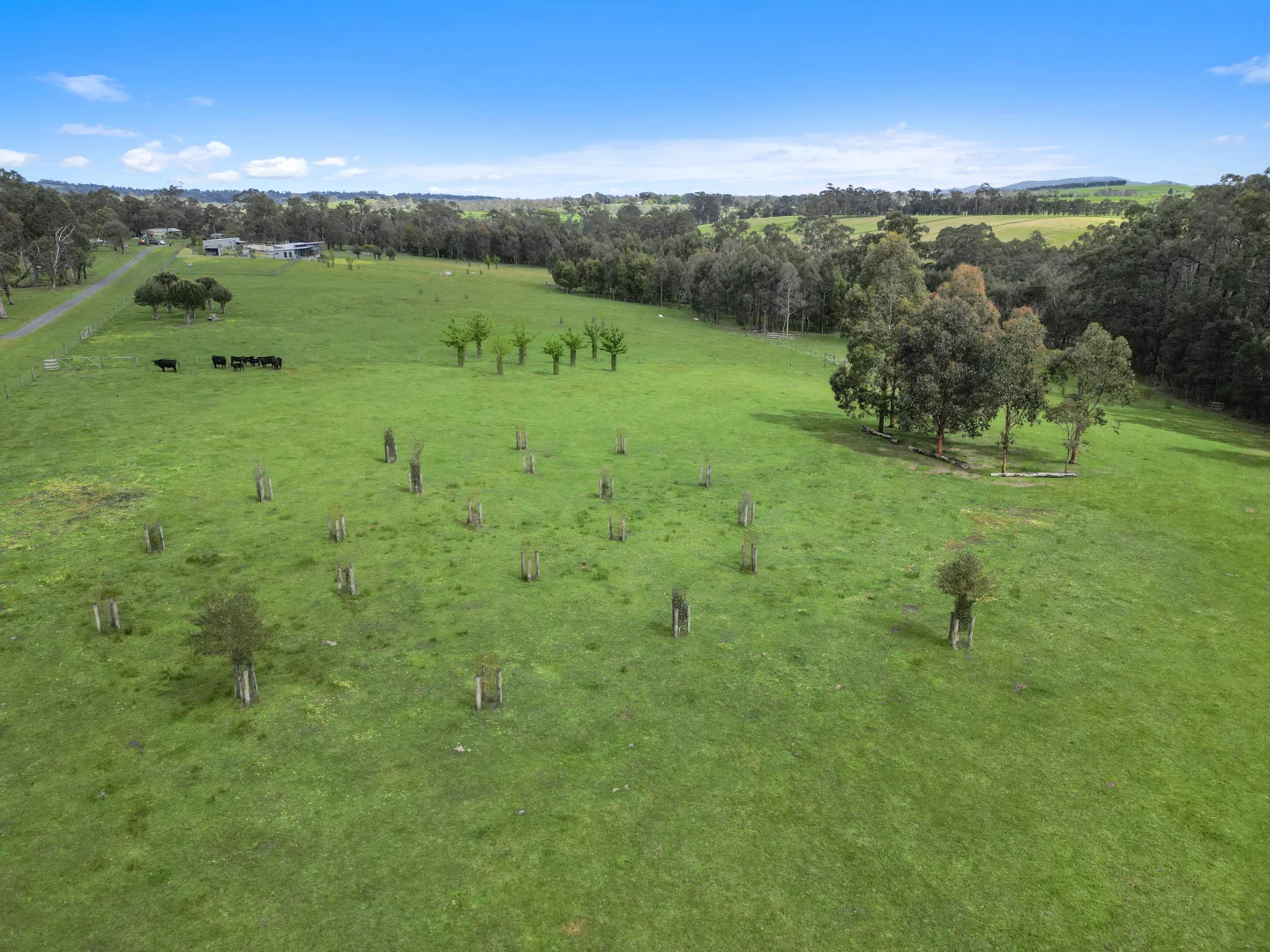 Additional image 24 of 700 Main Neerim Road, Drouin West VIC 3818