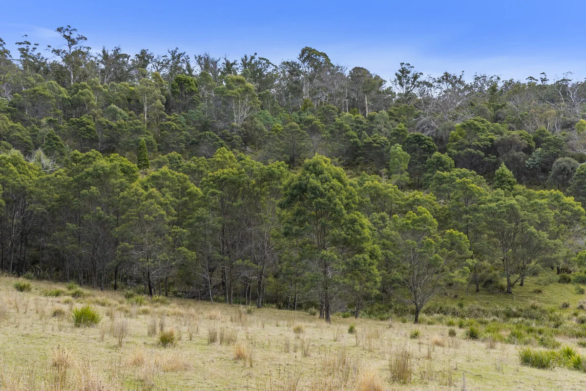 Additional image 15 of 1 & 2 Bresnehans Road, Little Swanport TAS 7190