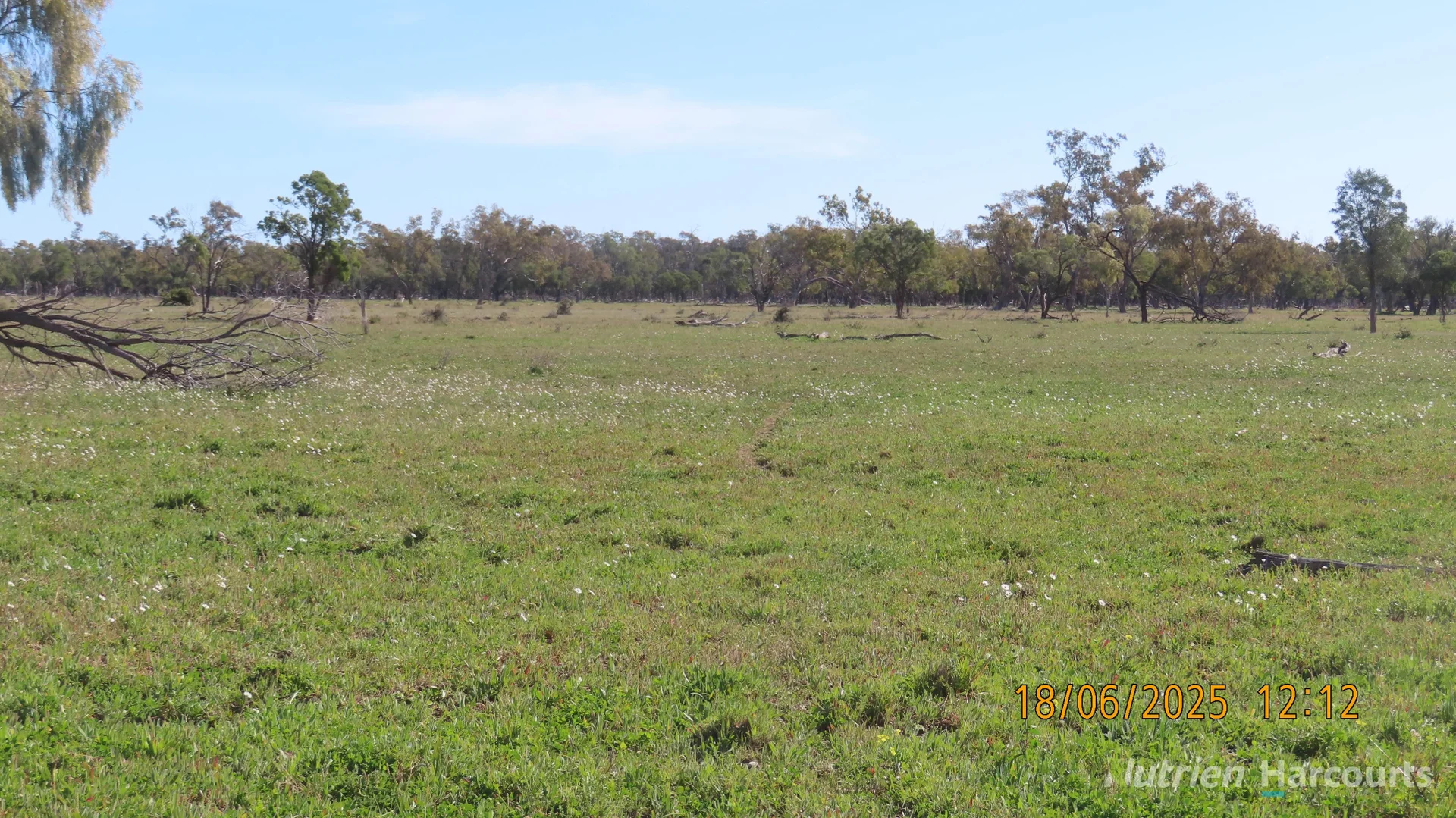 Additional image 3 of * Springvale, Walgett NSW 2832