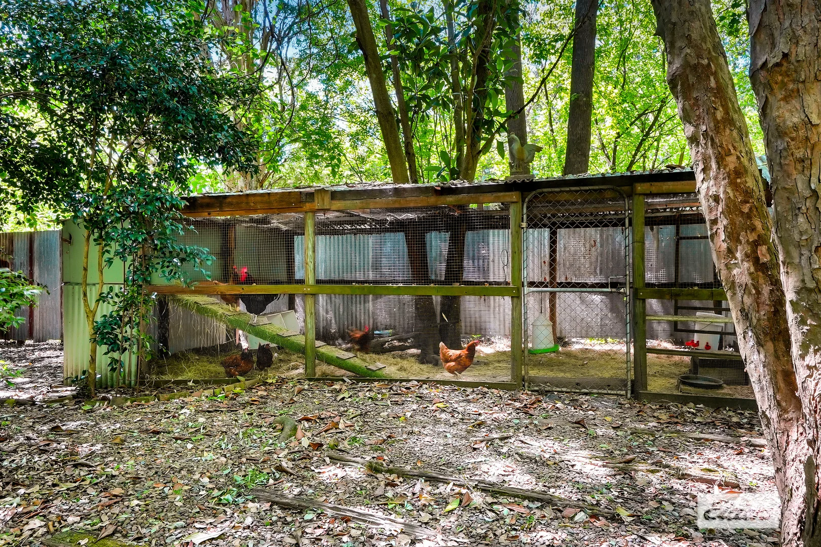 Additional image 24 of 1563 Mandalong Road, Dooralong NSW 2259