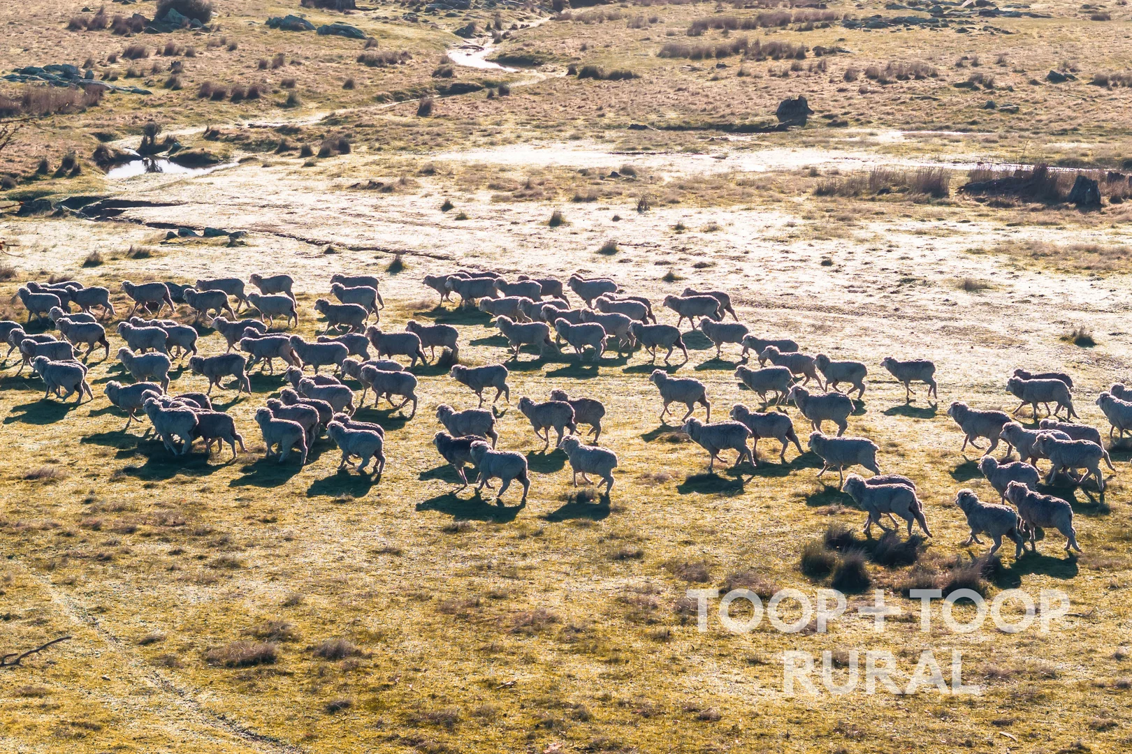 Additional image 11 of 232 Brownes Road, Pewsey Vale SA 5351