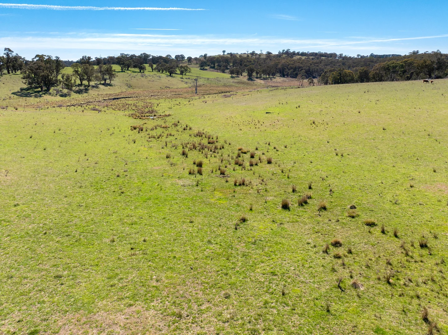 Additional image 23 of 5353 Trunkey Road, Trunkey Creek NSW 2795