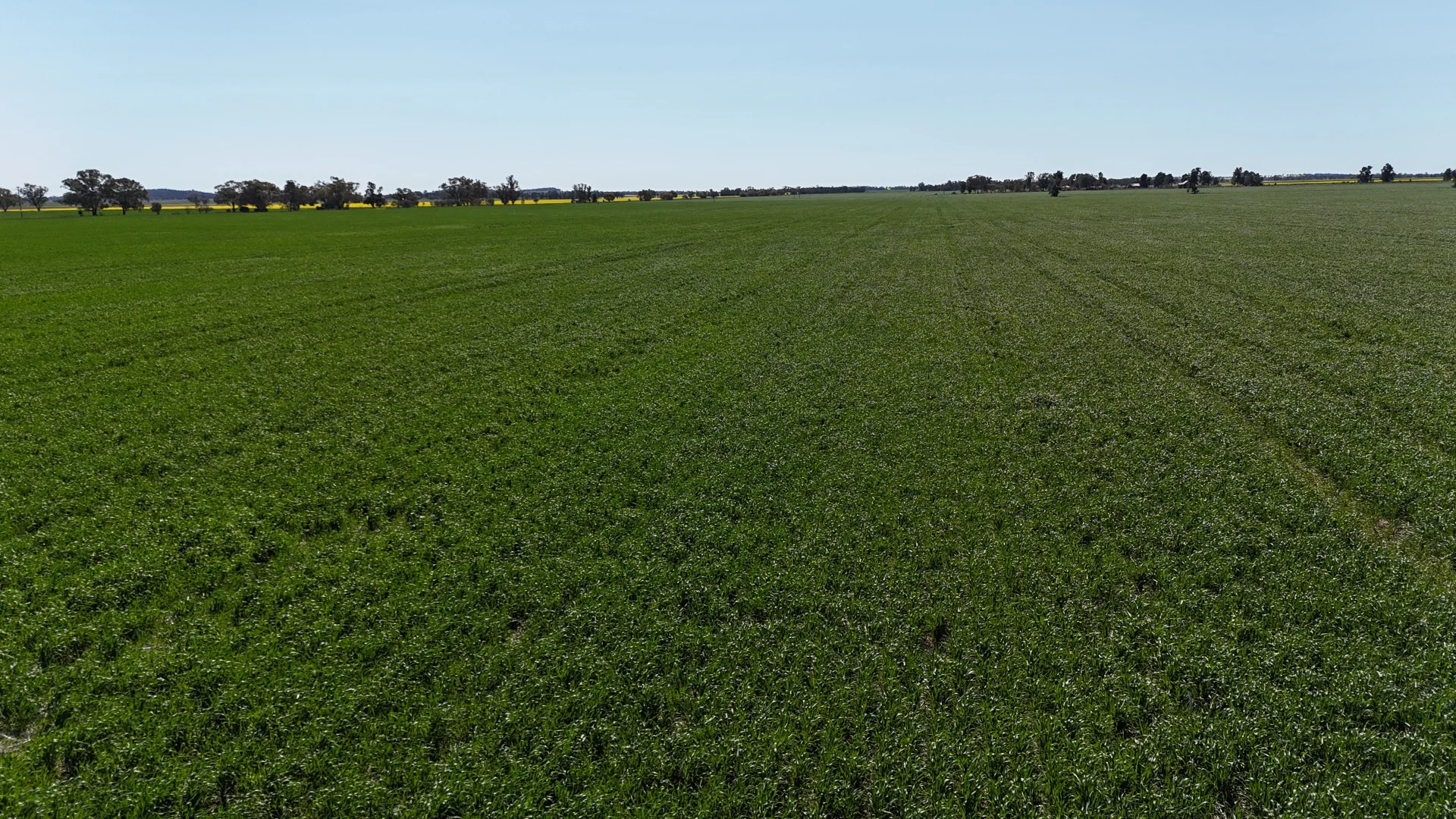 Additional image 4 of 2459 The Bogan Way, Parkes NSW 2870