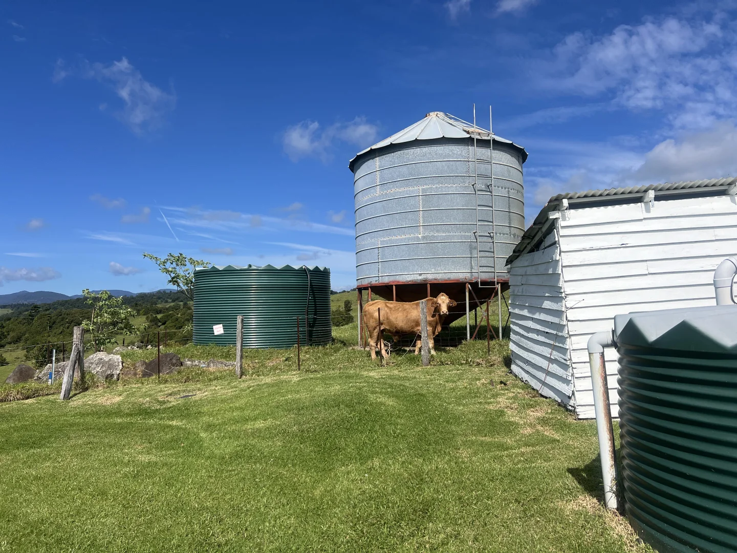 Additional image 23 of 616 South West Road, Beechmont QLD 4211