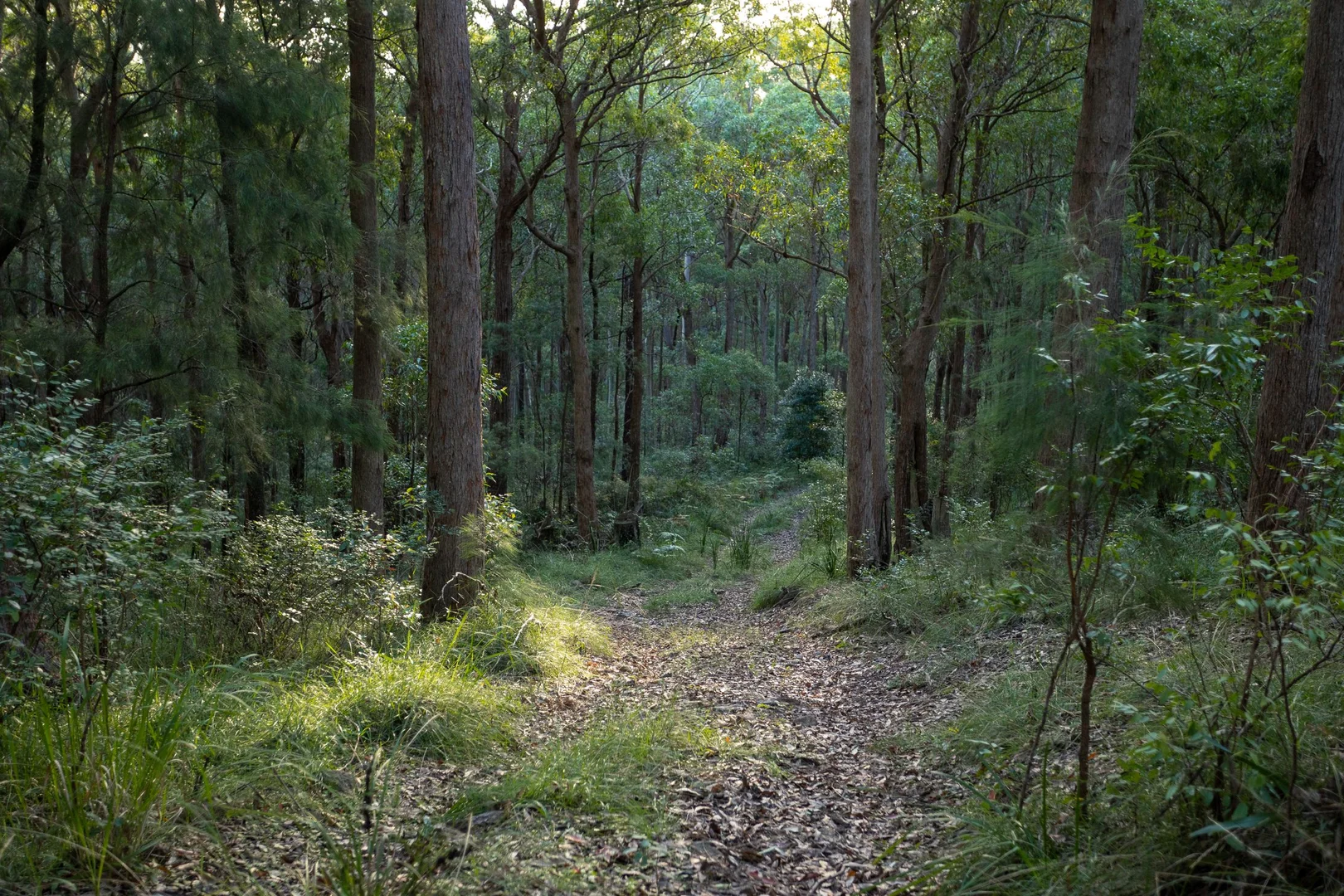 Additional image 7 of 706 MOONABUNG ROAD, Vacy NSW 2421