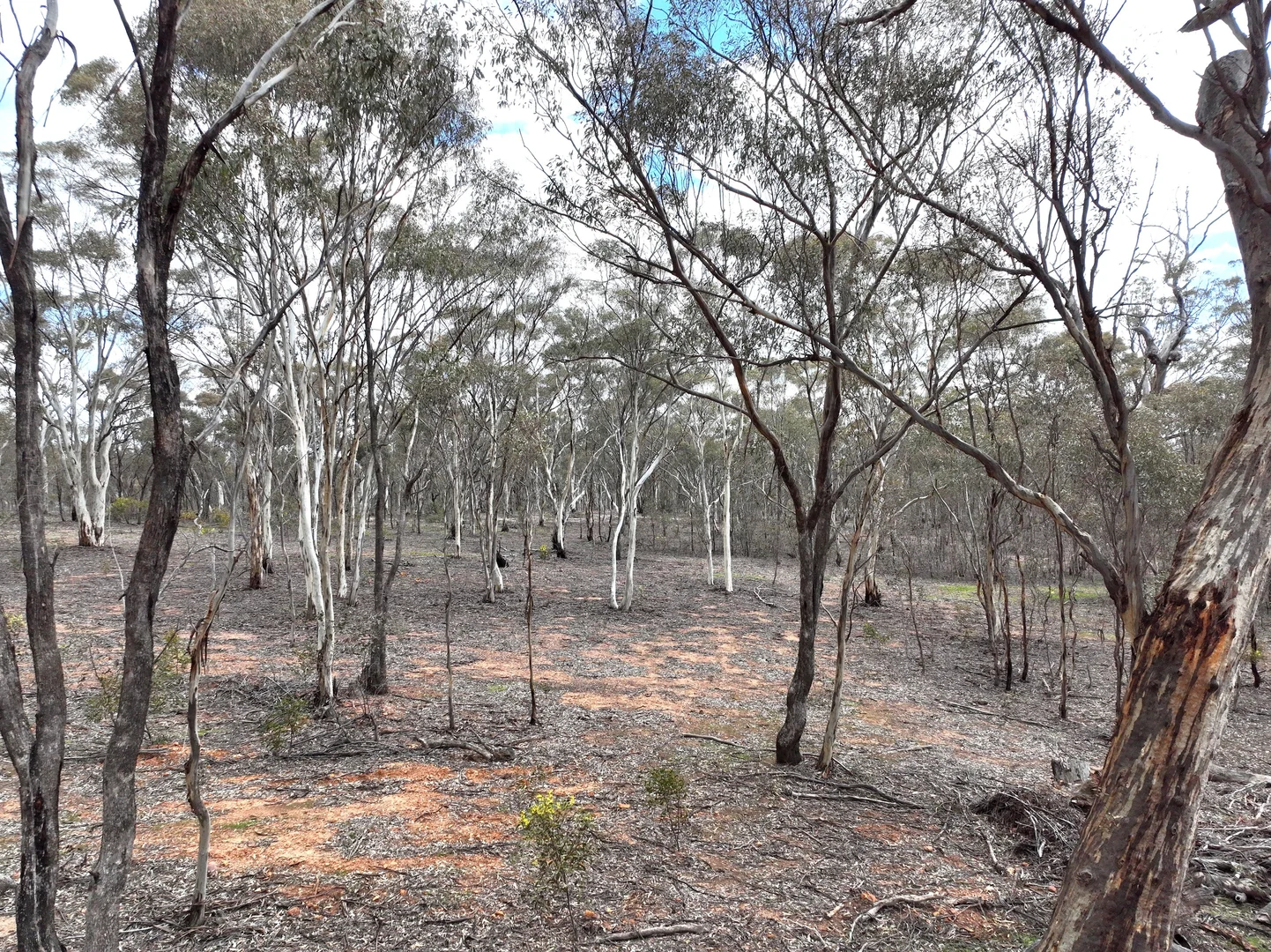 Additional image 9 of 5 Misery Road, St Arnaud VIC 3478