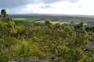 Additional image 8 of 189 Summer Camp Road, Memana TAS 7255